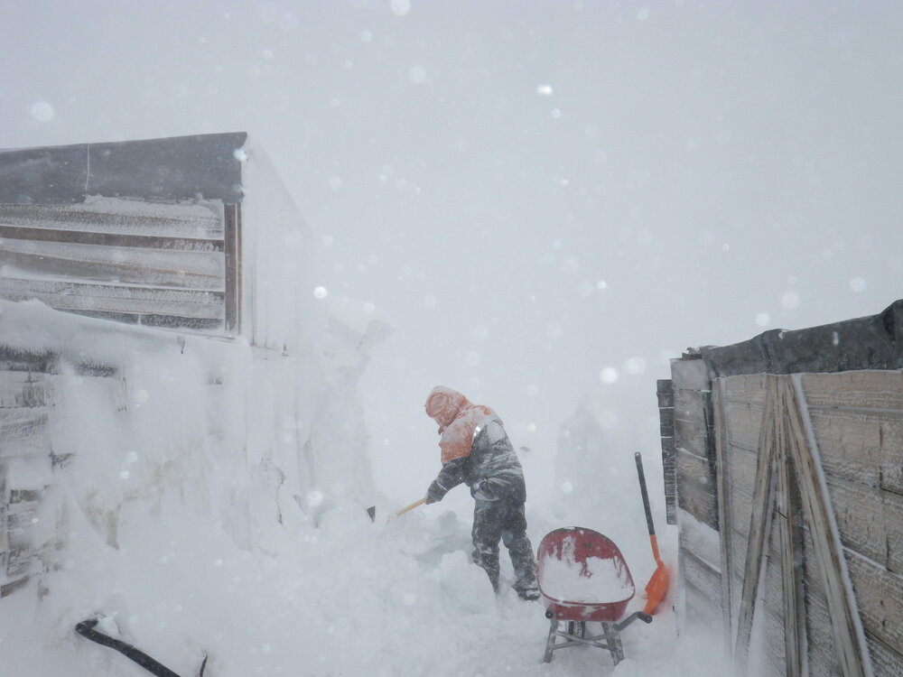 Snow Removal, Scott's 'Terra Nova' hut (002)