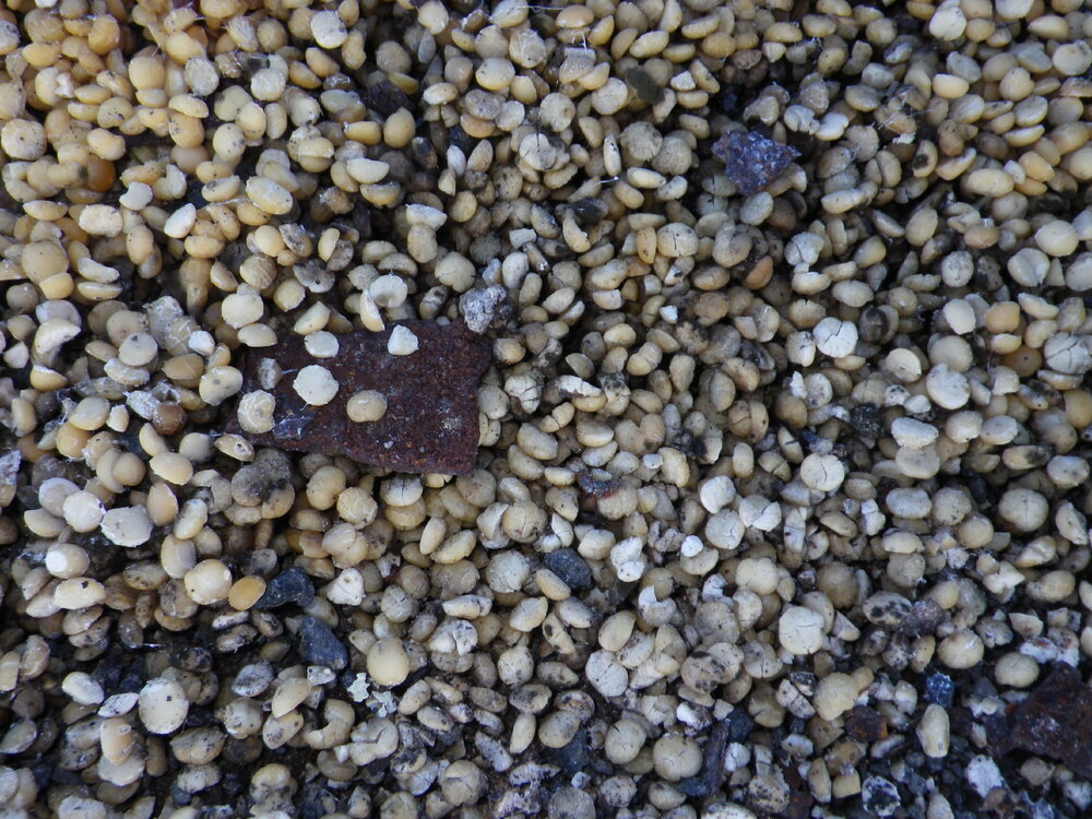 Southern food cache, Cape Evans (001)