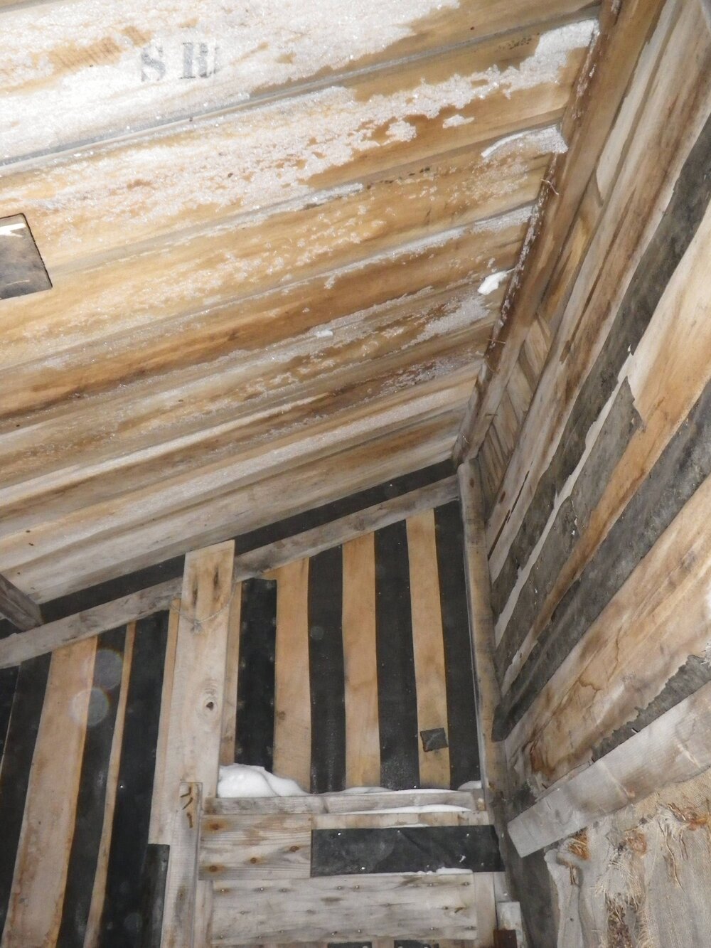 Western Annexe,  Scott's 'Terra Nova' hut