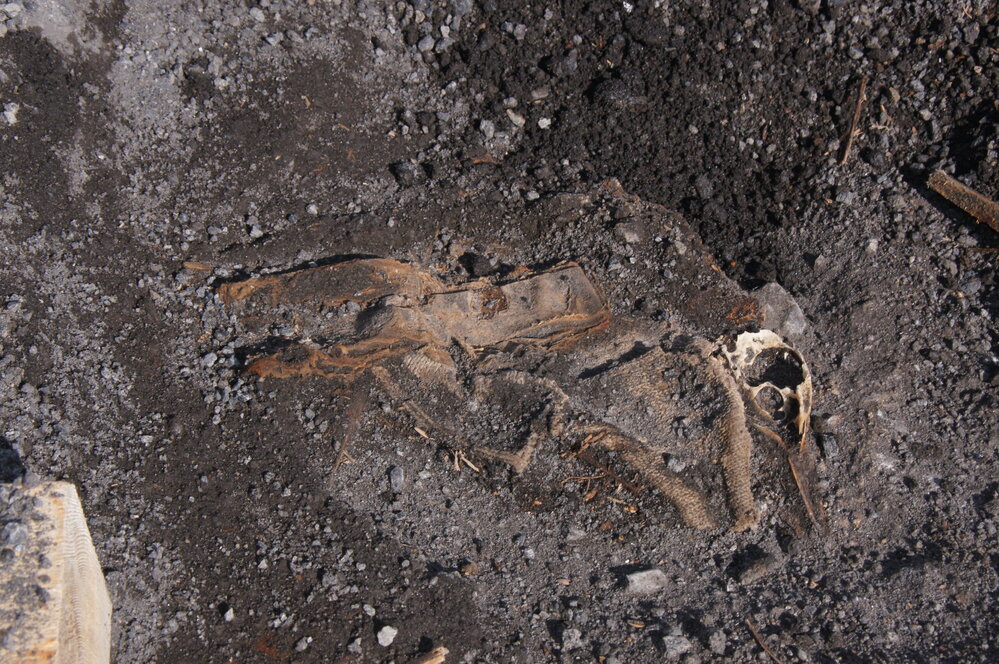 Textile and bone embedded in ground