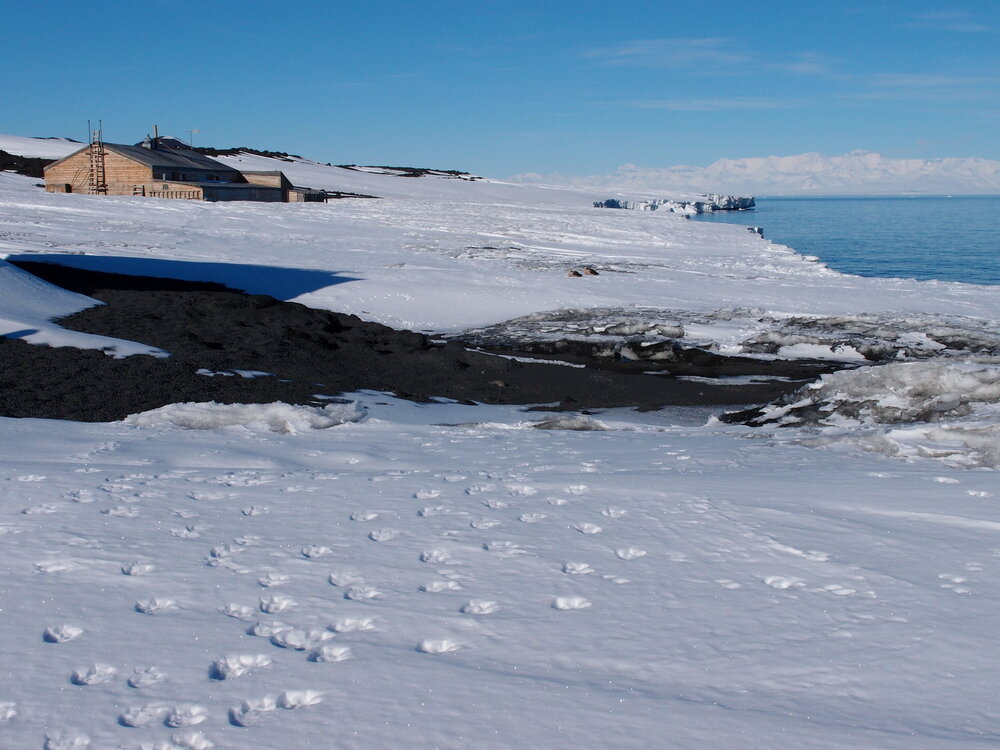 Footprints to Scott's 'Terra Nova' hut