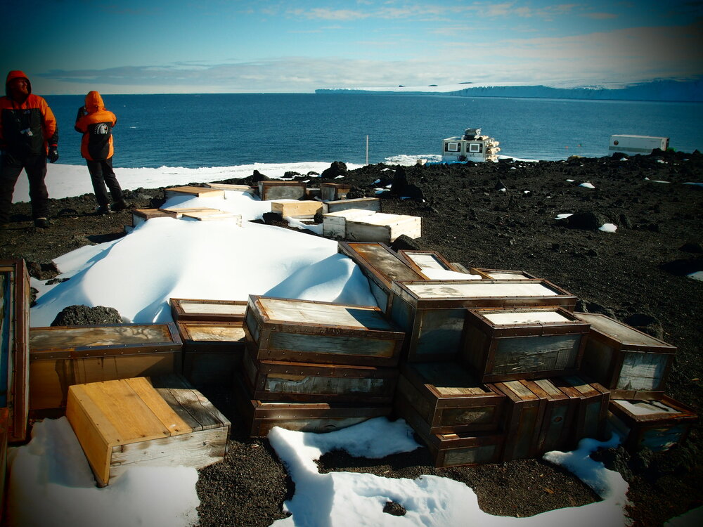 Venesta and provision boxes, Scott's 'Terra Nova' hut