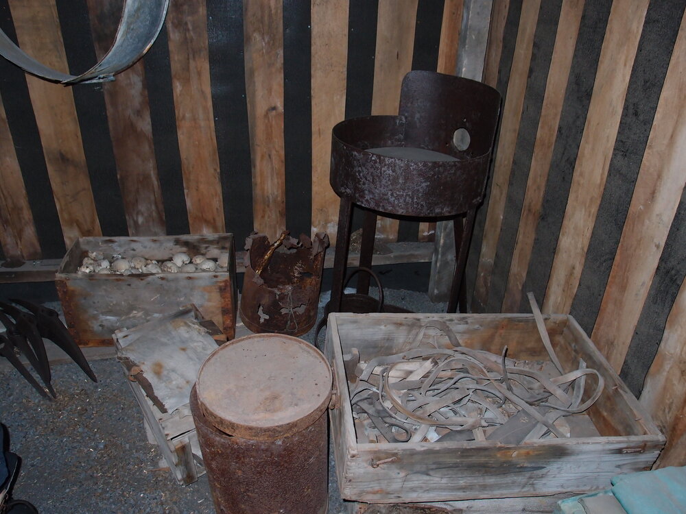 Ad&eacute;lie penguin eggs and artefacts, Scott's 'Terra Nova' hut 