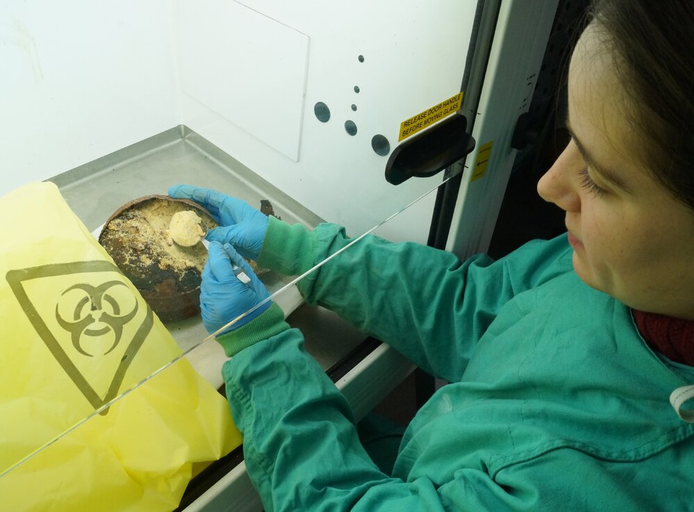 Conservator Marie-Amande Coignard at work