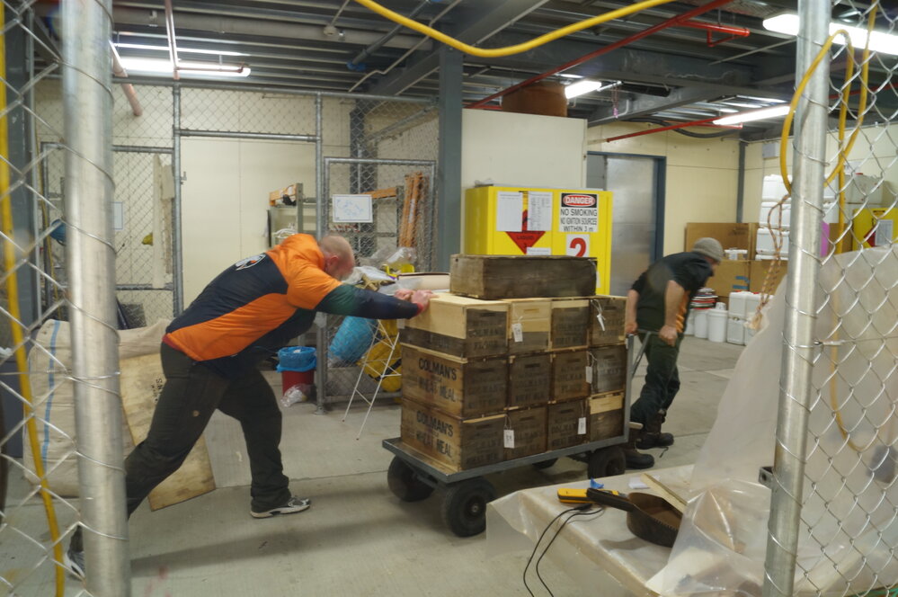 Conservators at work (001)