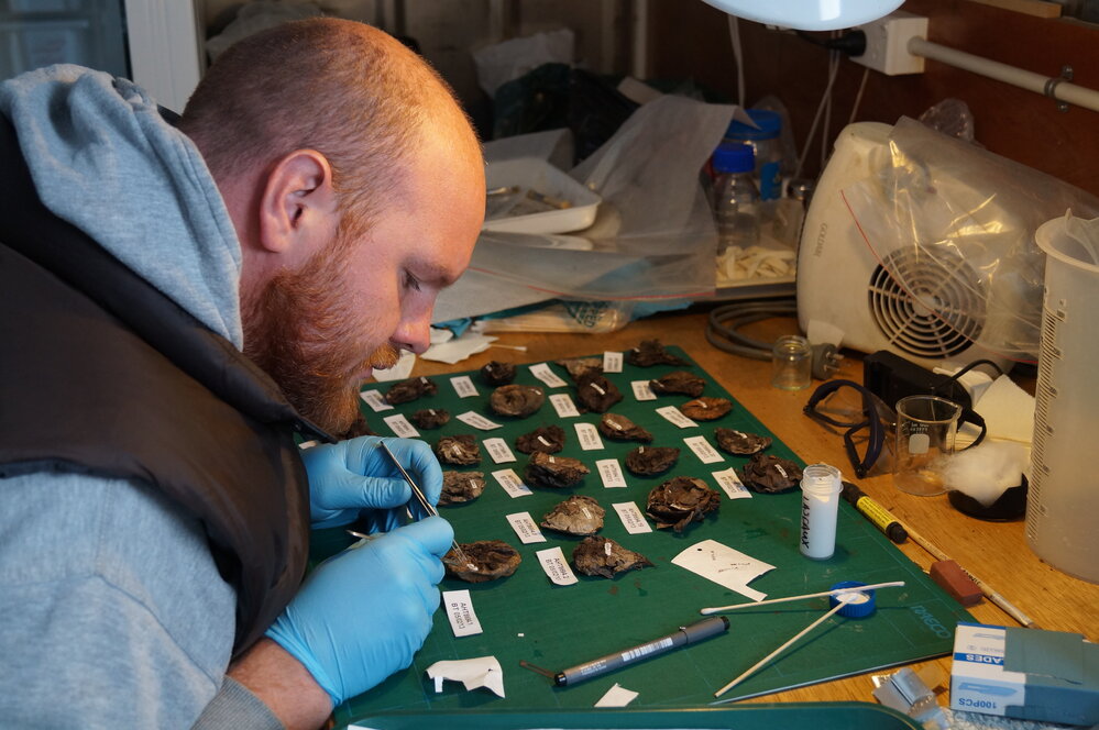 Conservator Stefan Strittmatter at work 