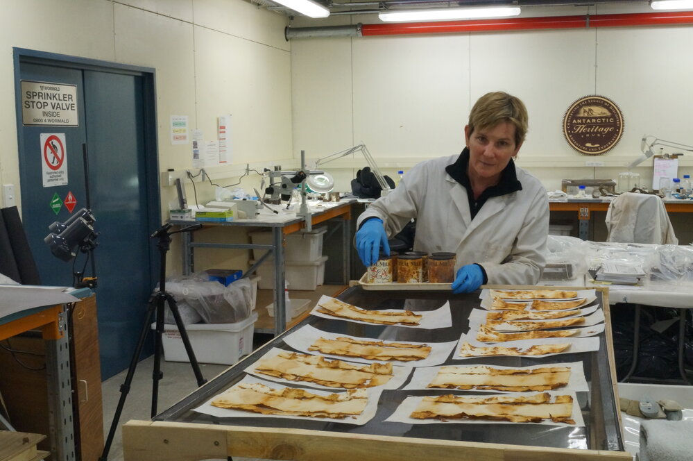 Lead Conservator Sue Bassett at work (003)