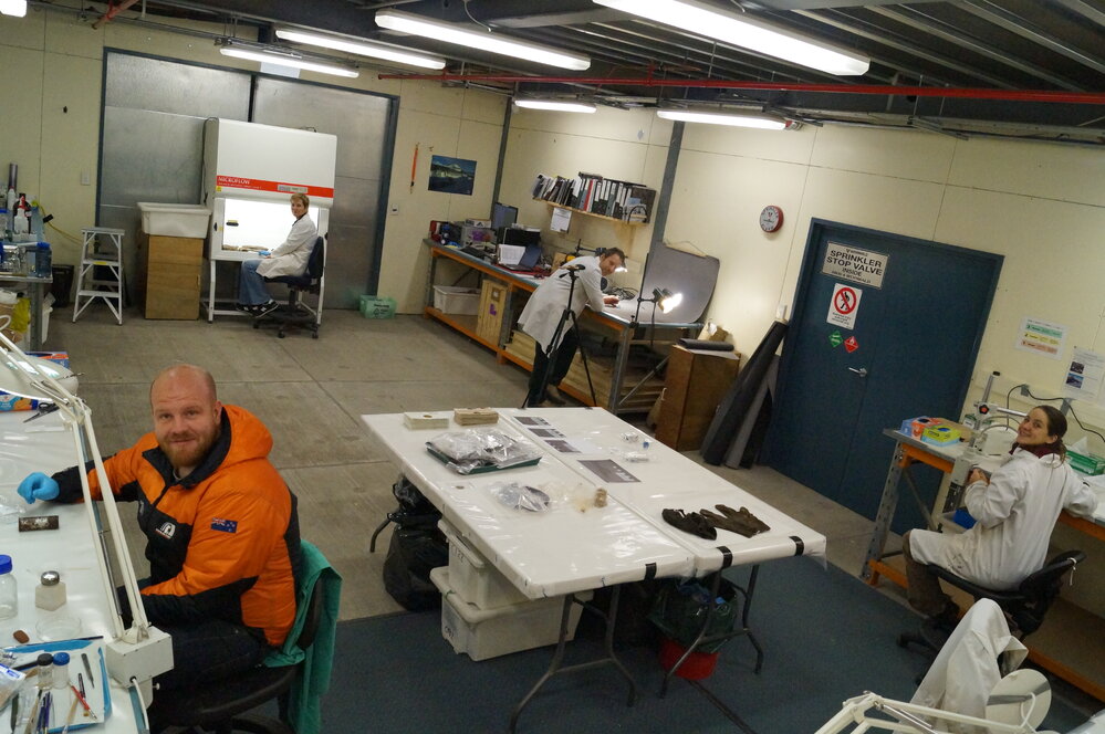 Conservators at work (001)