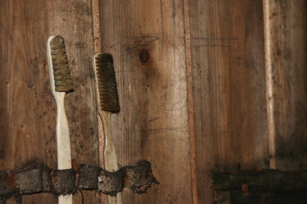 2010-11 Toothbrushes attached to a wall inside Scott's 'Terra Nova' hut