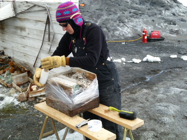 2010-11 Diana Komejan wrapping an excavated box, Cape Royds