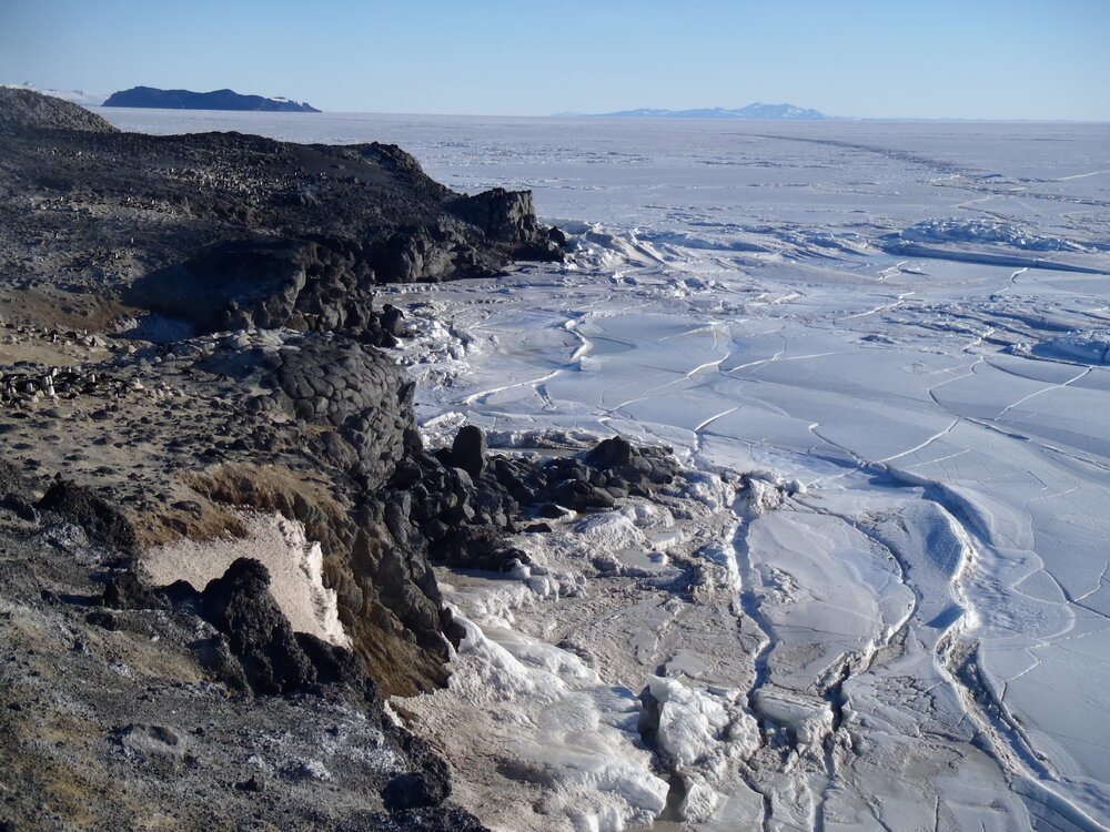 2010-11 Cape Royds Ad&eacute;lie penguin colony