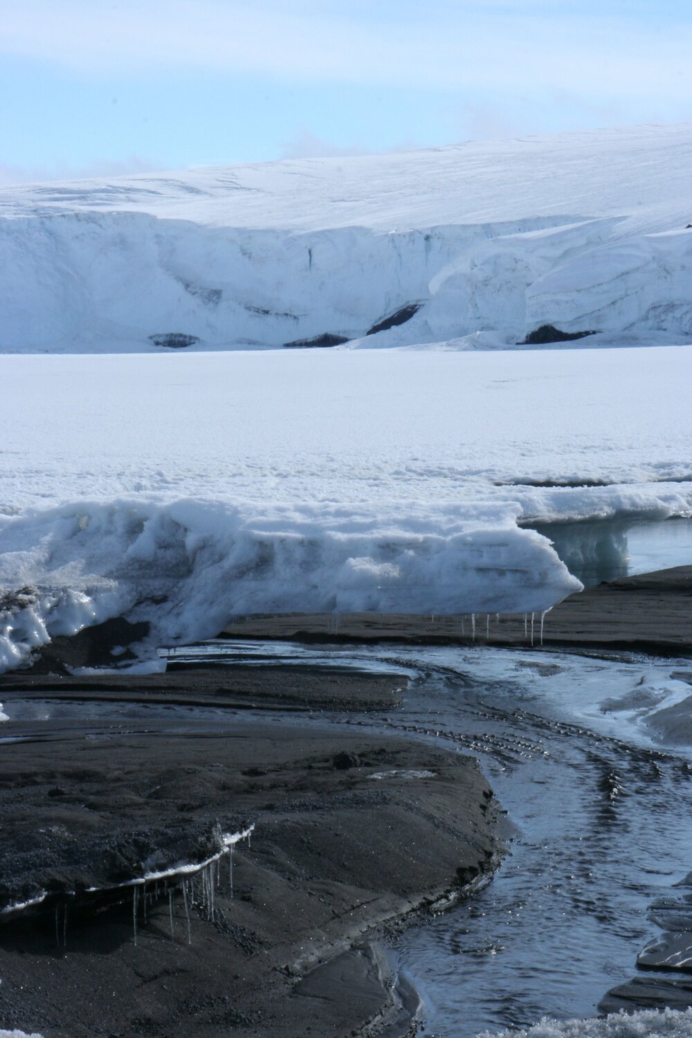 2010-11 Landscape near Barne Glacier