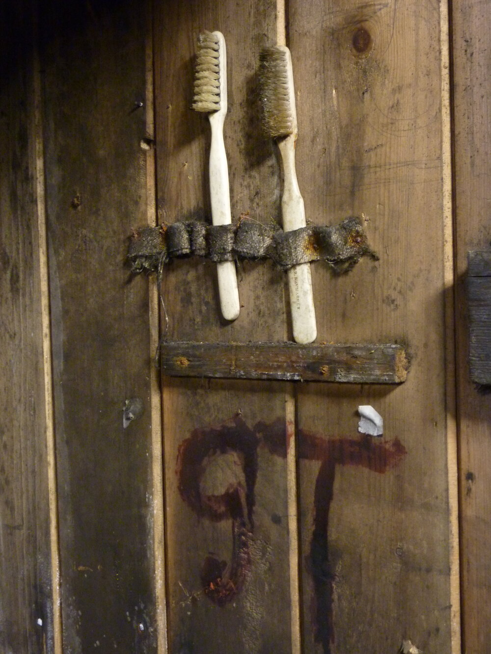2010-11 Toothbrushes mounted above Griffith Taylor's bunk, Cape Evans