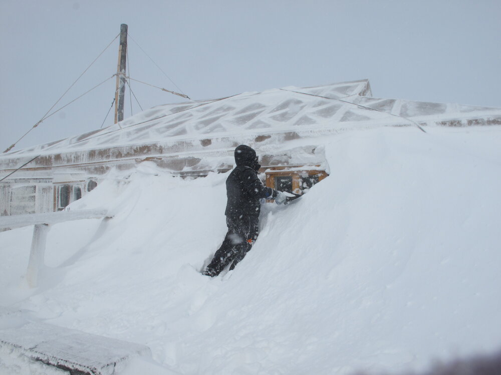 2009-10 Snow clearing after blizzard, Shackleton's 'Nimrod' hut