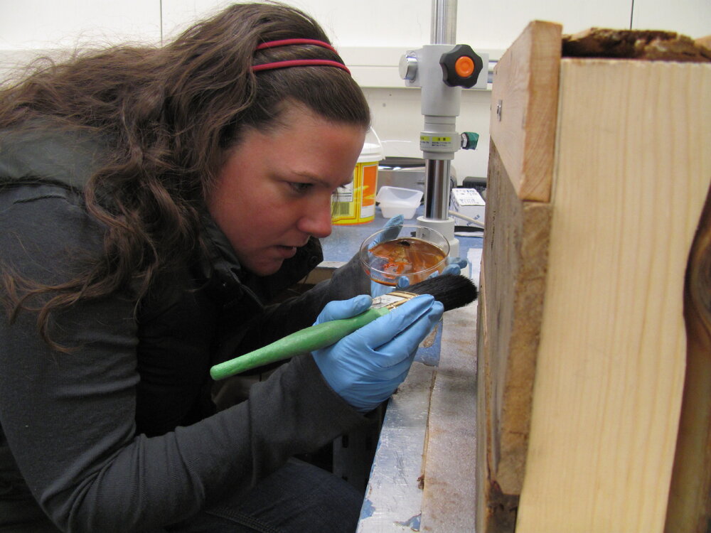 AHT Conservator Jane Hamill applying wood stain