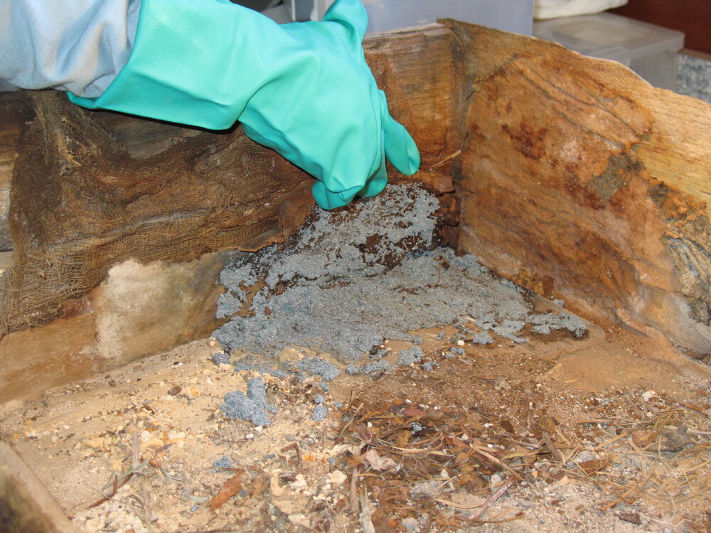 Mercury removal (003)