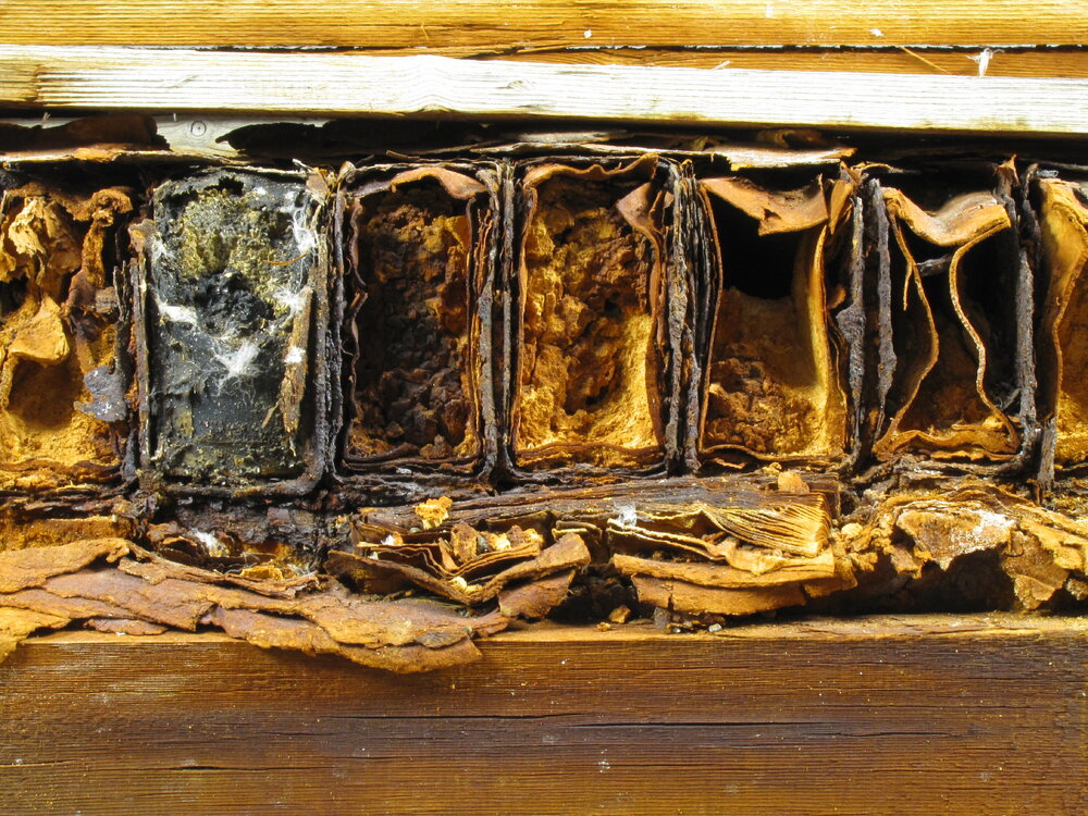 Box containing baking powder tins