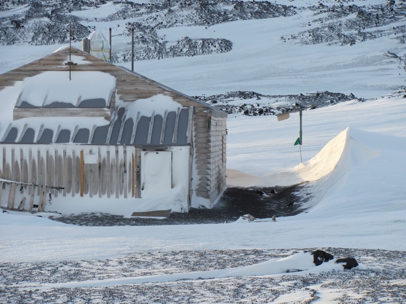 2010 Scott's 'Terra Nova' hut inspection, exterior (005)