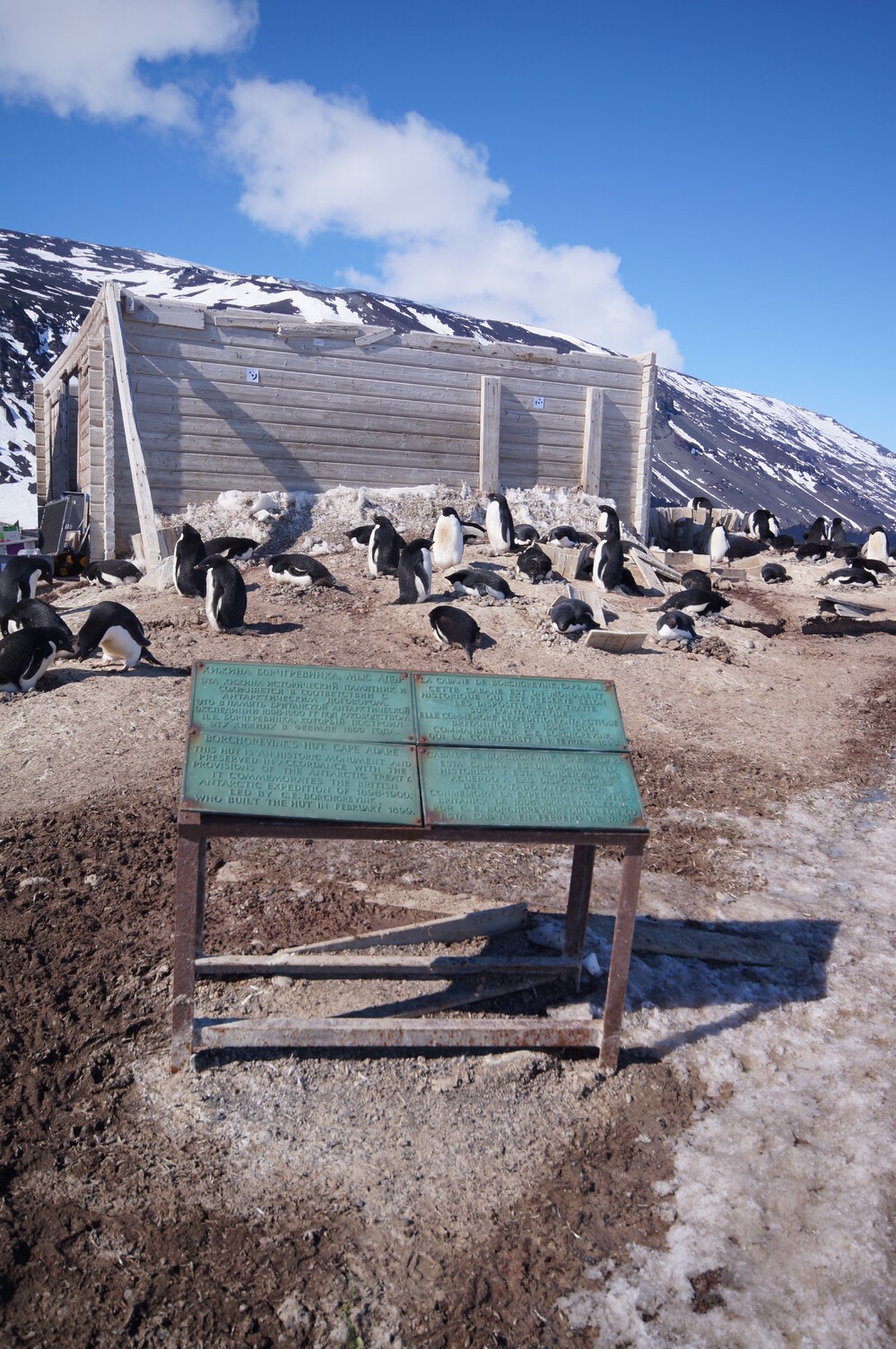 2015-16 Borchgrevink's hut brass plaque (004)
