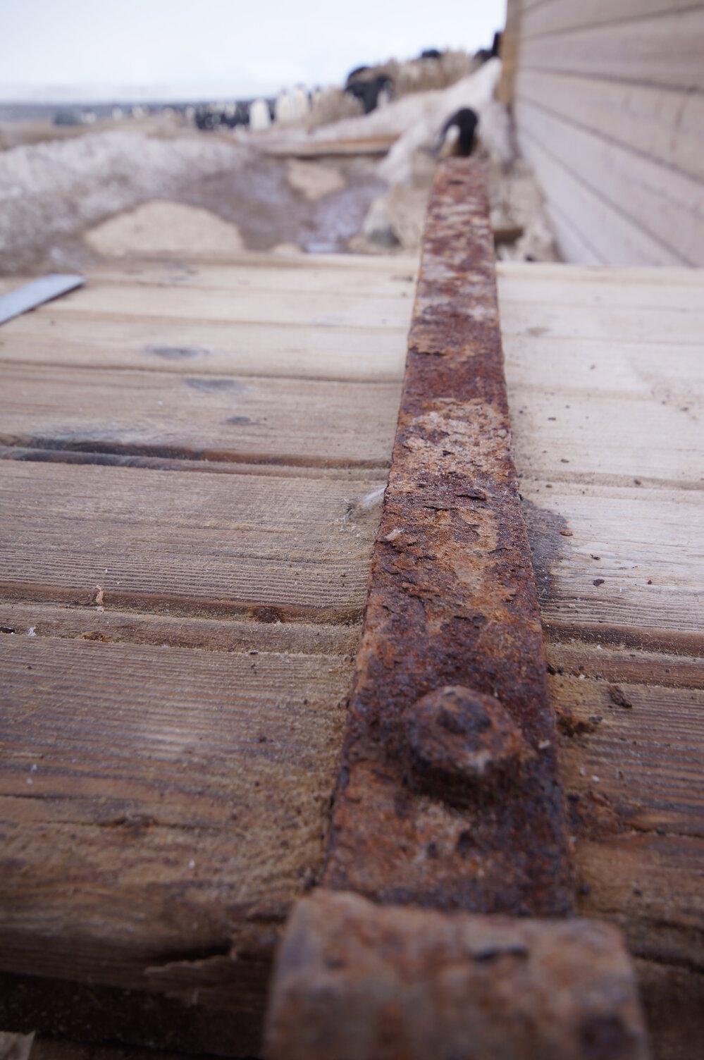 2015-16 Detail of Stores hut door hardware