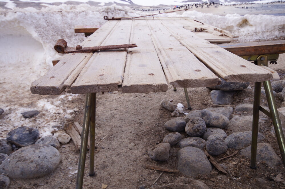 2015-16 Stores hut door, Cape Adare (018)