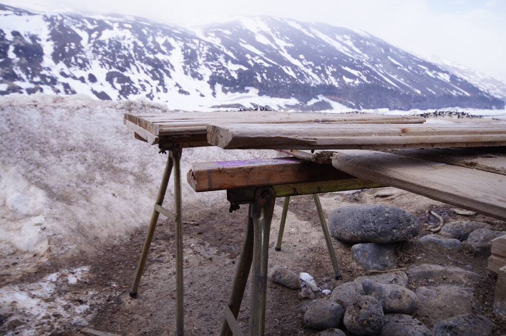 2015-16 Stores hut door, Cape Adare (037)