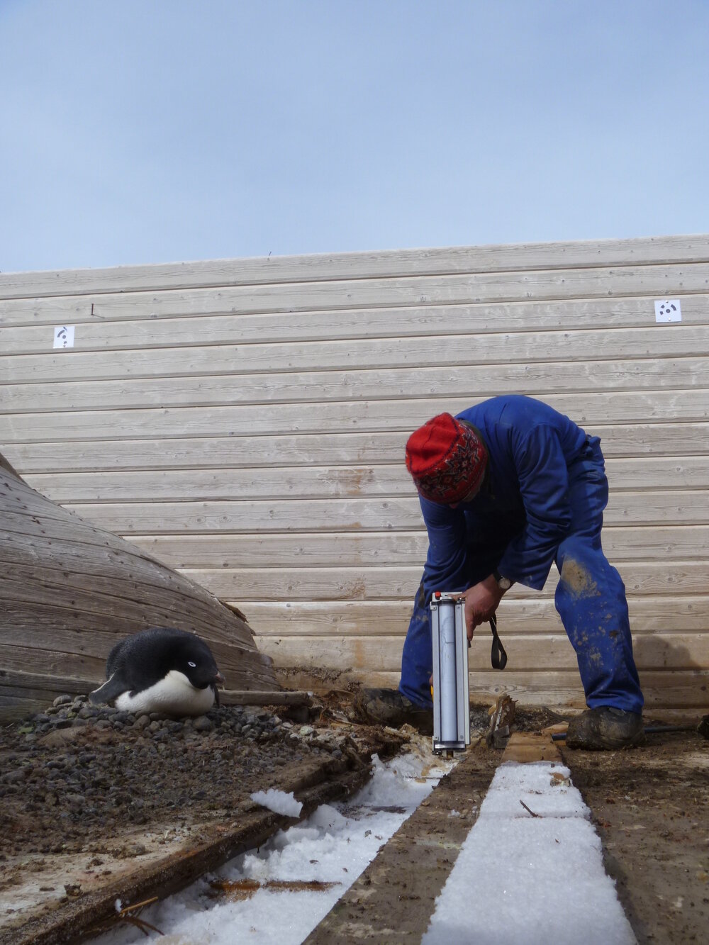 2015-16 Torbj&Atilde;&cedil;ern Prytz working on floor (003)