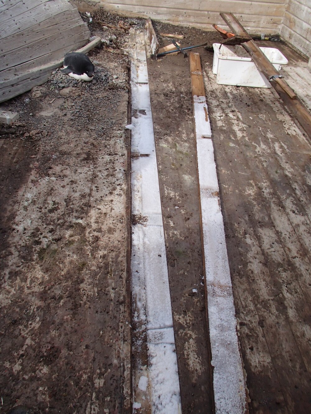 2015-16 Floorboard removed, Stores hut (004)