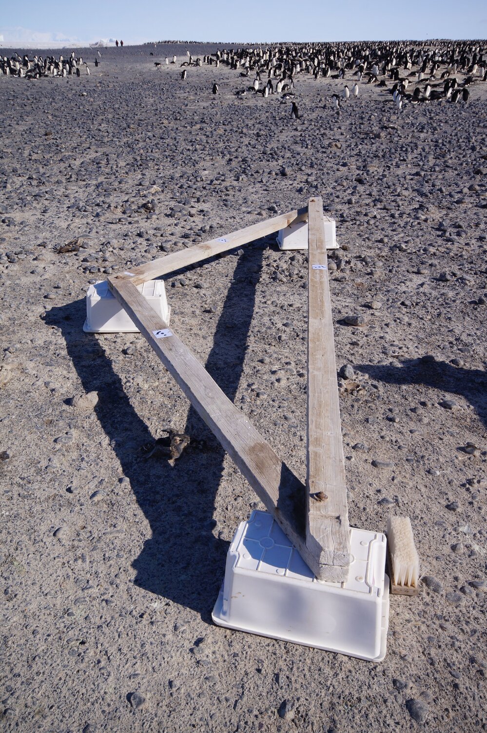 2015-16 Truss two from Stores hut (009)