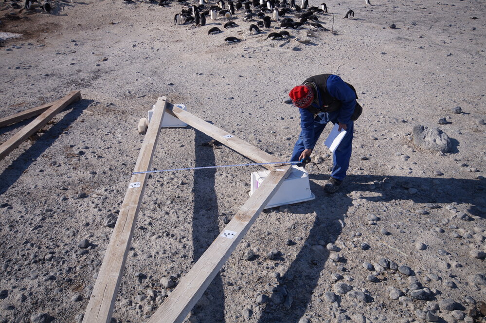 2015-16 Truss two from Stores hut (012)