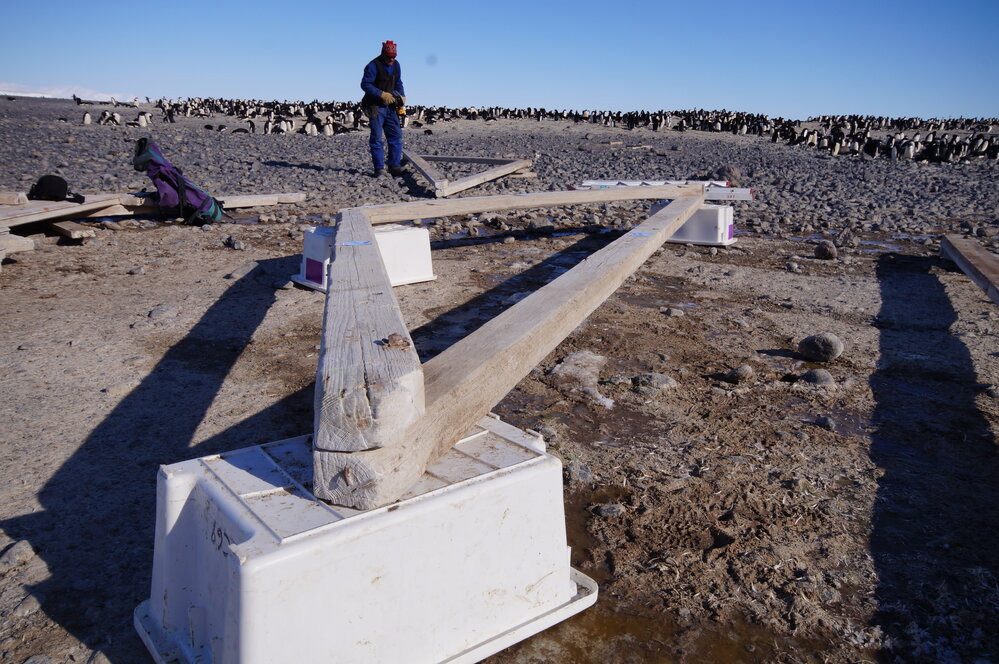 2015-16 Truss three from Stores hut (007)