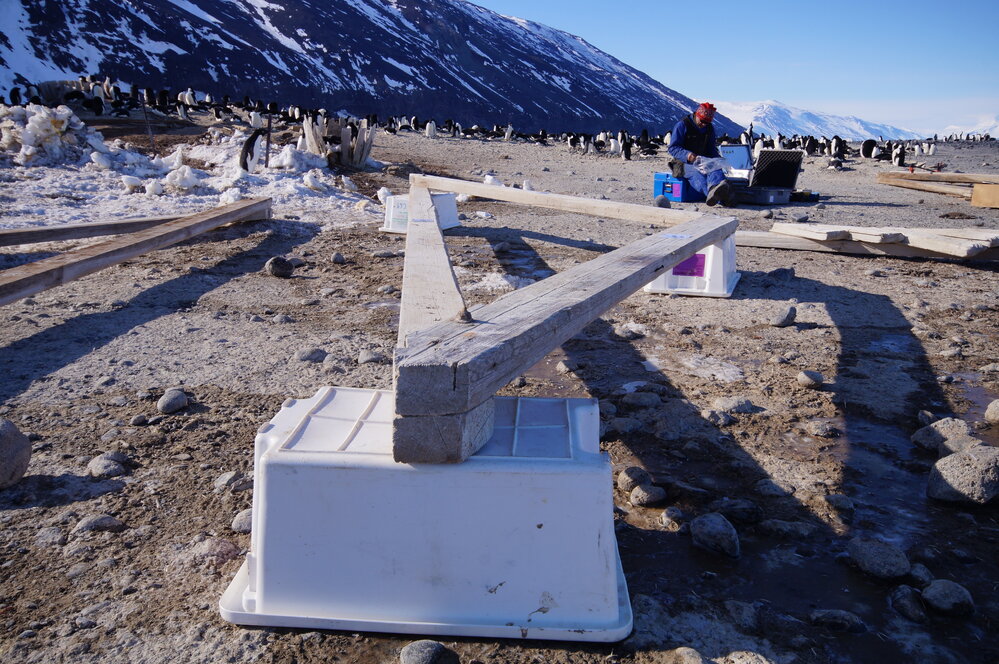 2015-16 Truss three from Stores hut (013)