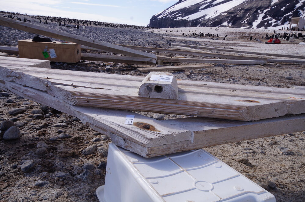 2015-16 Truss four from Stores hut (023)