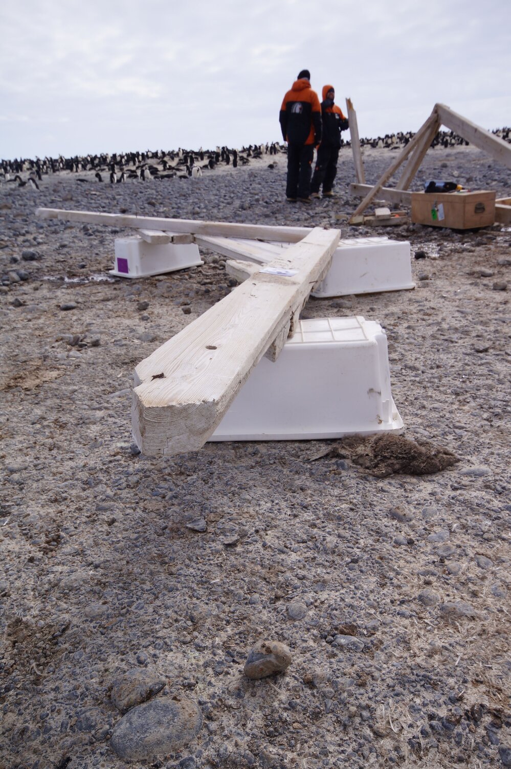 2015-16 Truss four from Stores hut (030)