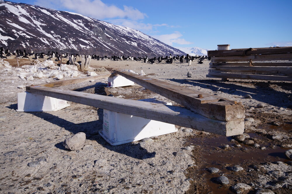 2015-16 Truss five from Stores hut (002)