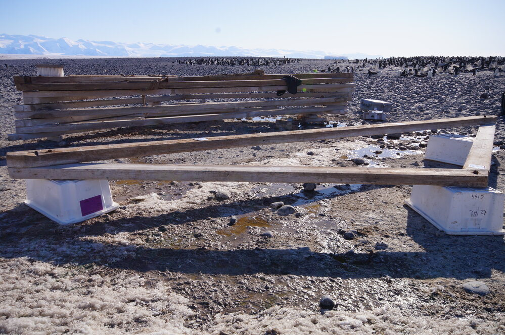 2015-16 Truss five from Stores hut (008)