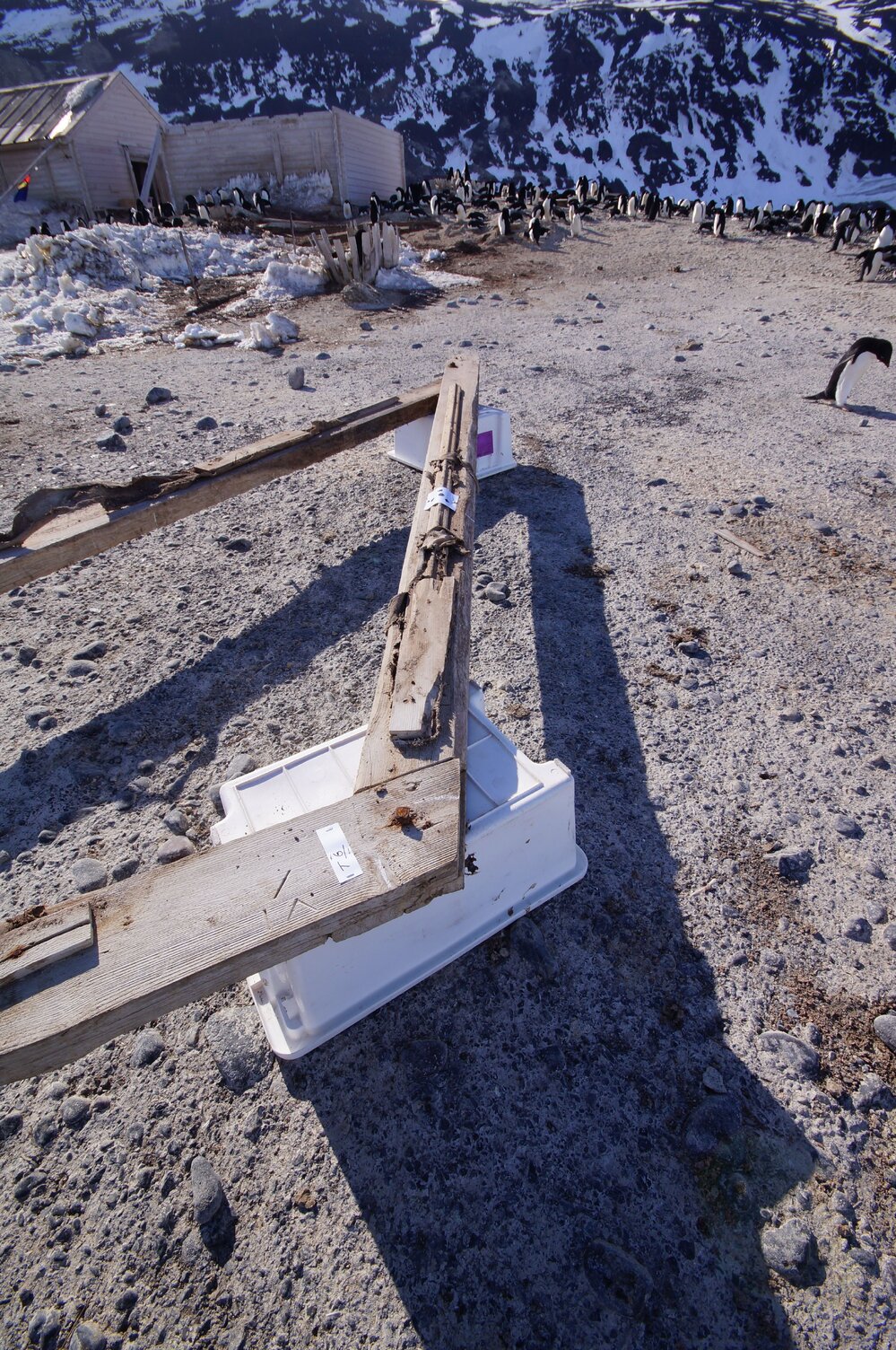 2015-16 Truss six from Stores hut (001)