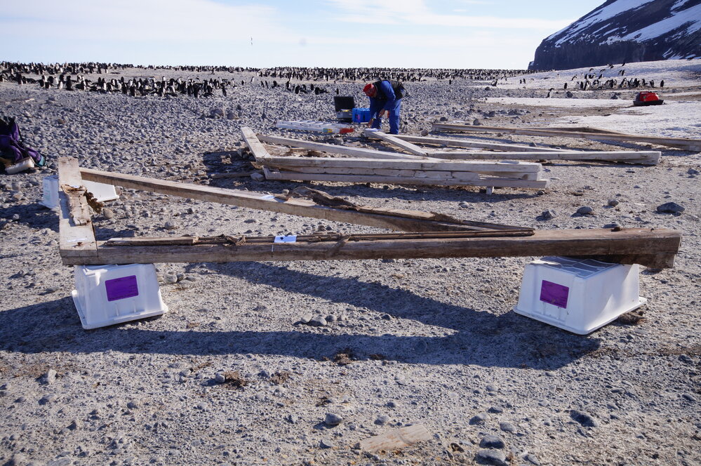 2015-16 Truss six from Stores hut (012)