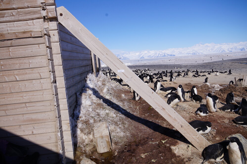 2015-16 Truss seven, Stores hut (001)