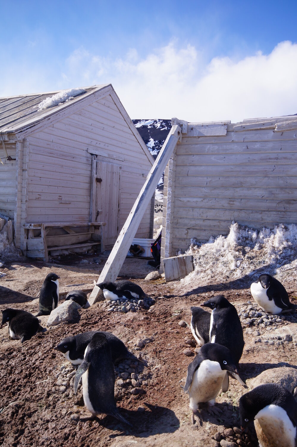 2015-16 Truss seven, Stores hut (003)