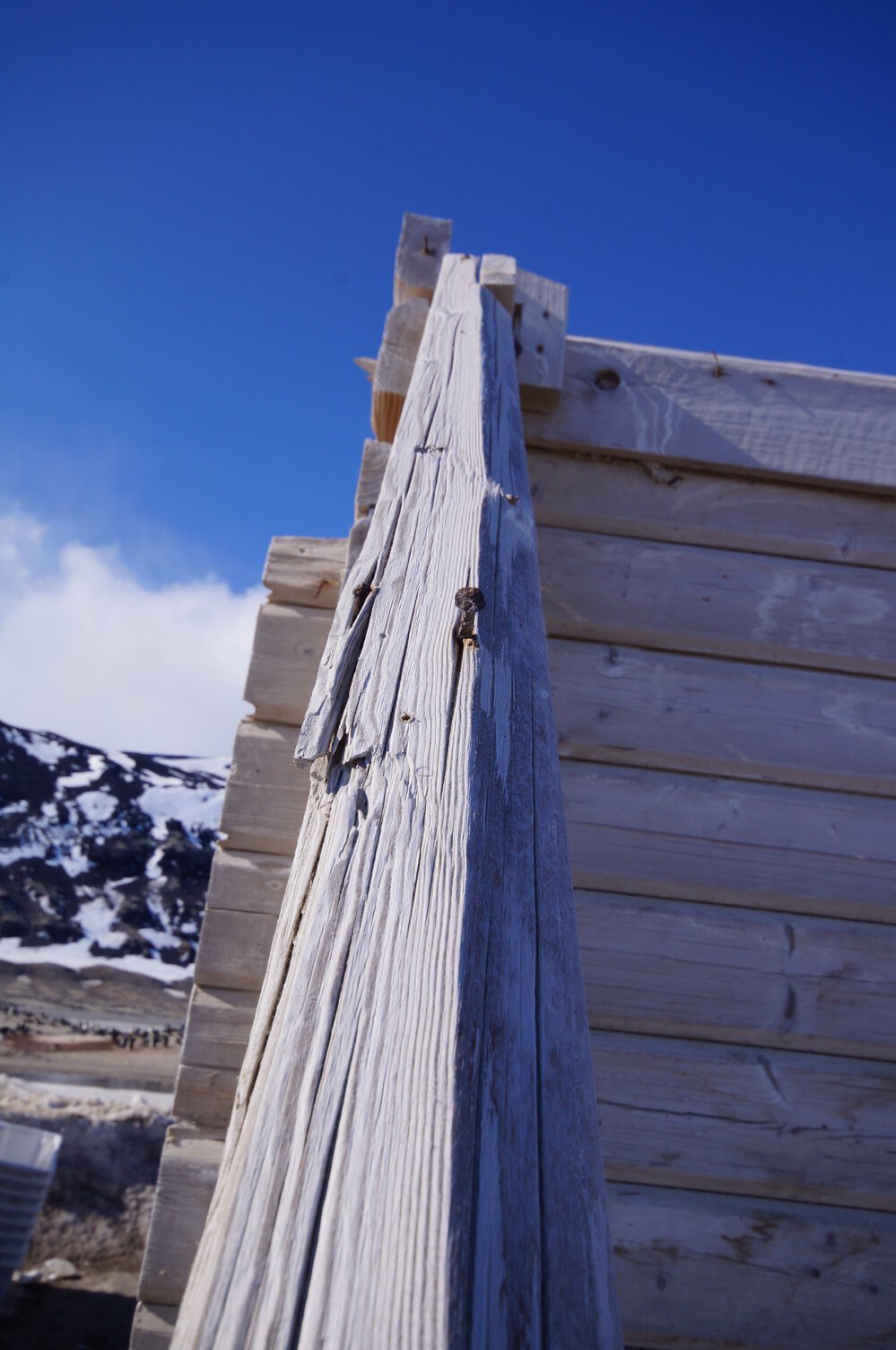 2015-16 Truss seven, Stores hut (005)