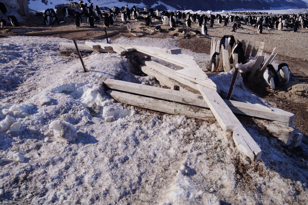 2015-16 Stores hut trusses, as found