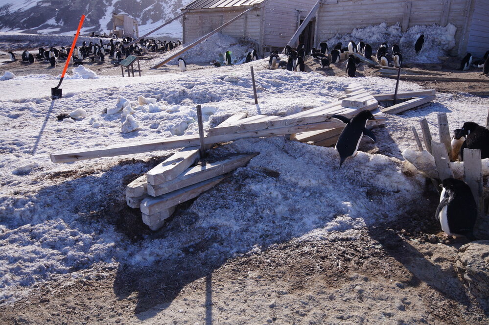 2015-16 Stores hut trusses, as found (002)