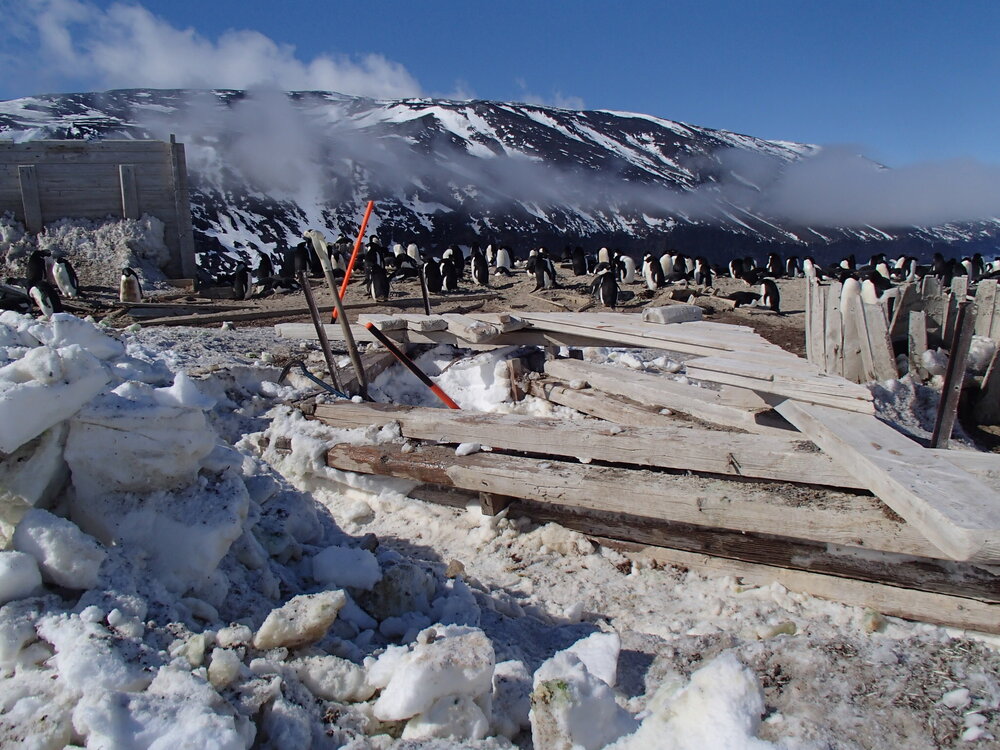 2015-16 Stores hut trusses, as found (004)