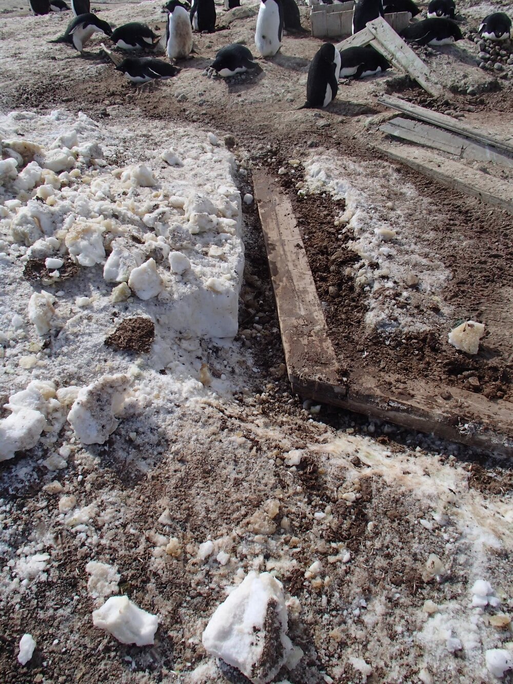 2015-16 Stores hut trusses, as found (008)