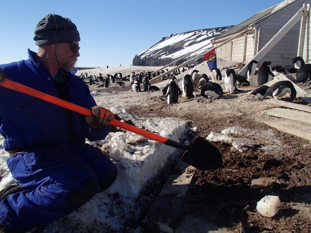 2015-16 Stores hut trusses, as found (012)