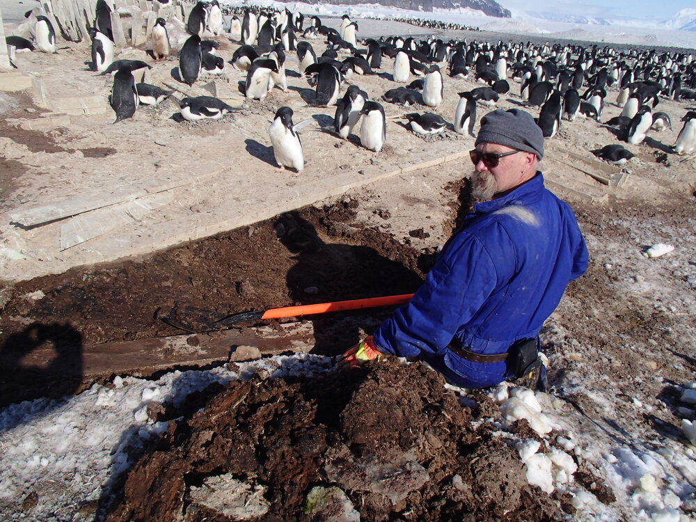 2015-16 Stores hut trusses, as found (014)