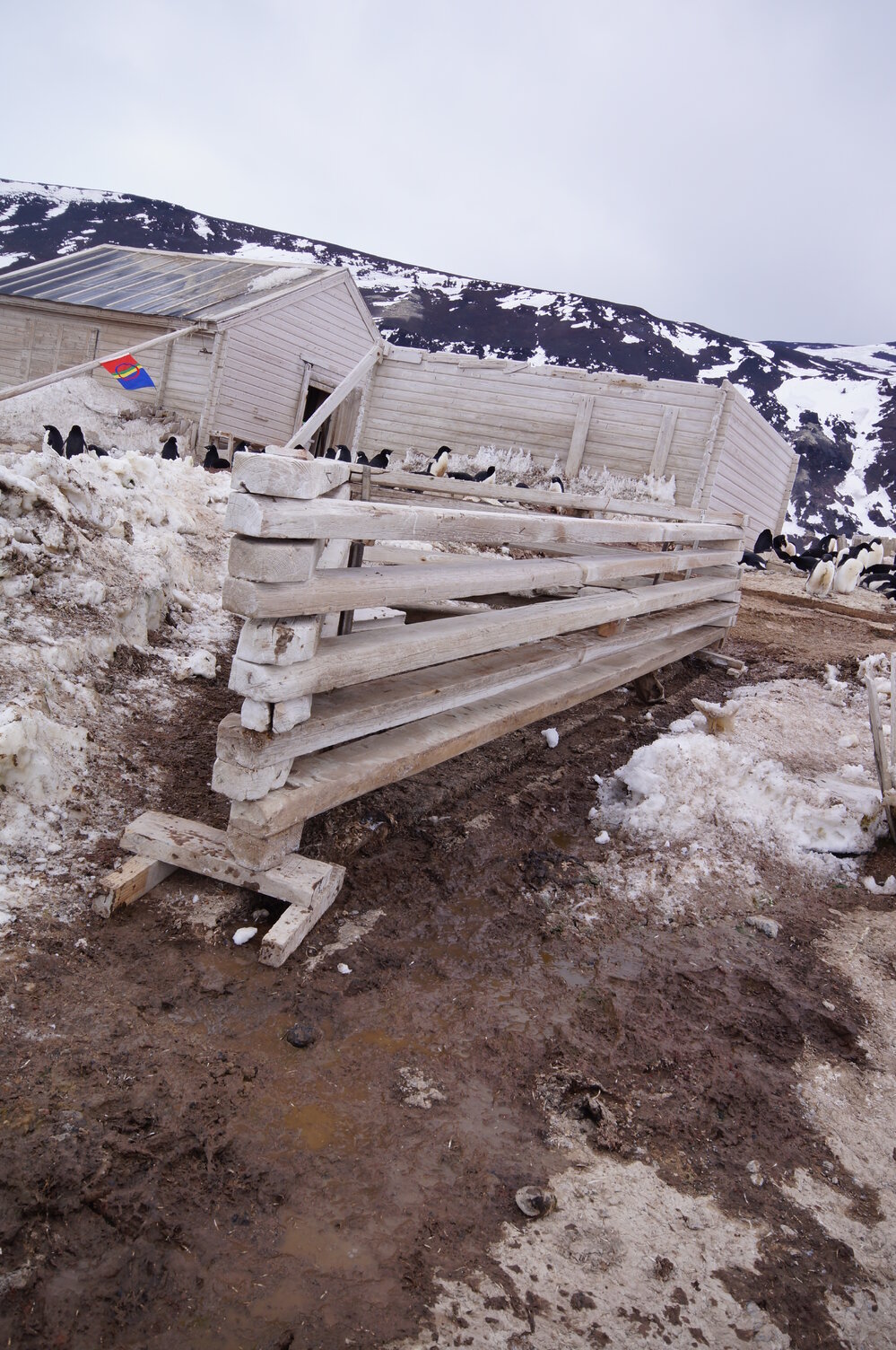 2015-16 Stores hut trusses, as left