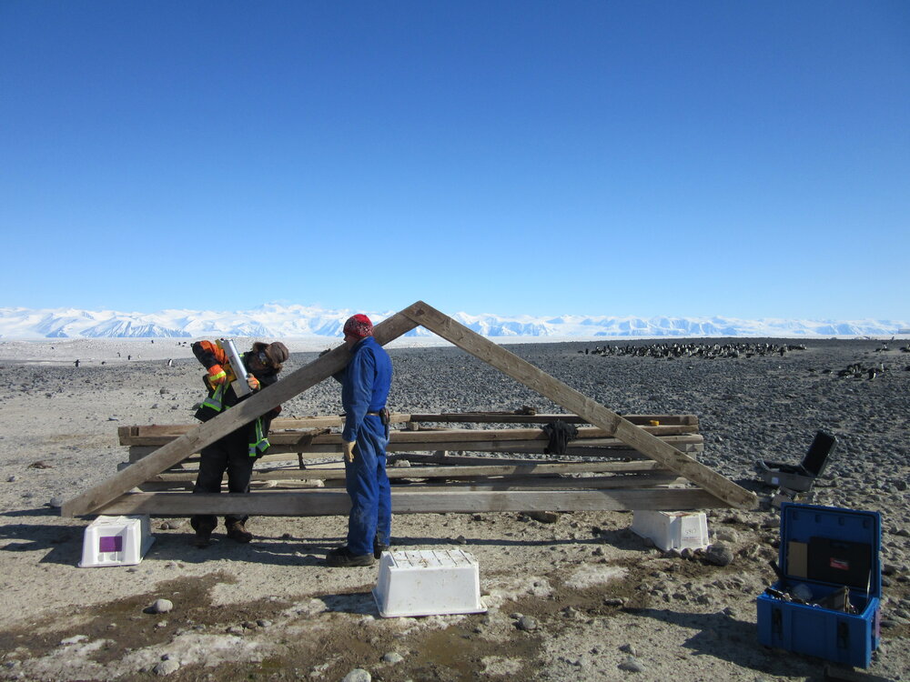 2015-16 Micro boring test, truss from Stores hut (002)