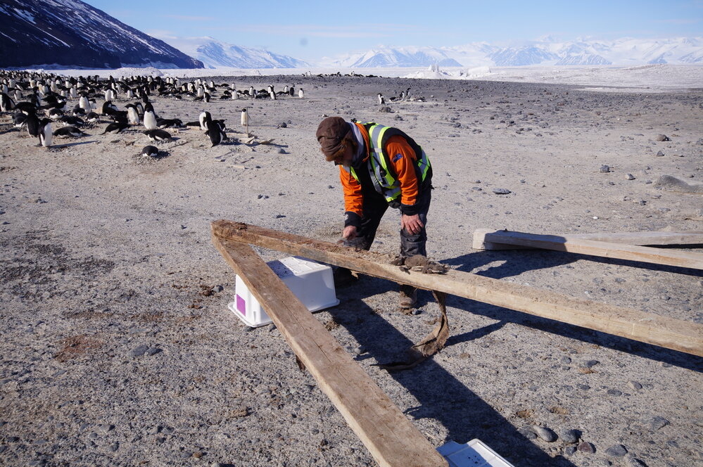 2015-16 Al Fastier cleaning truss